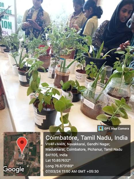 AJK College's Medicinal Plant Exhibition 2024: Explore Sustainability & Medicinal Treasures9